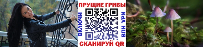 Псилоцибиновые грибы Psilocybine cubensis  Каневская 